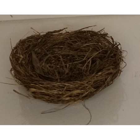 Nid de Pâques rempli de chocolats